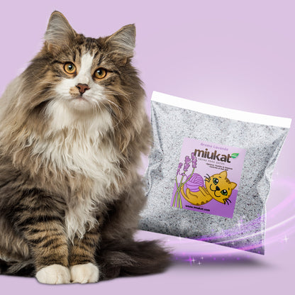 Arena para gatos MIUKAT aroma lavanda